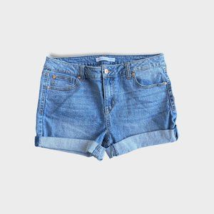 Truth + Theory Denim Shorts